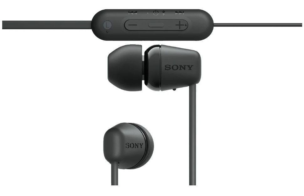 Sony WI-C100
