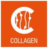 4Flex - ikona kolagen