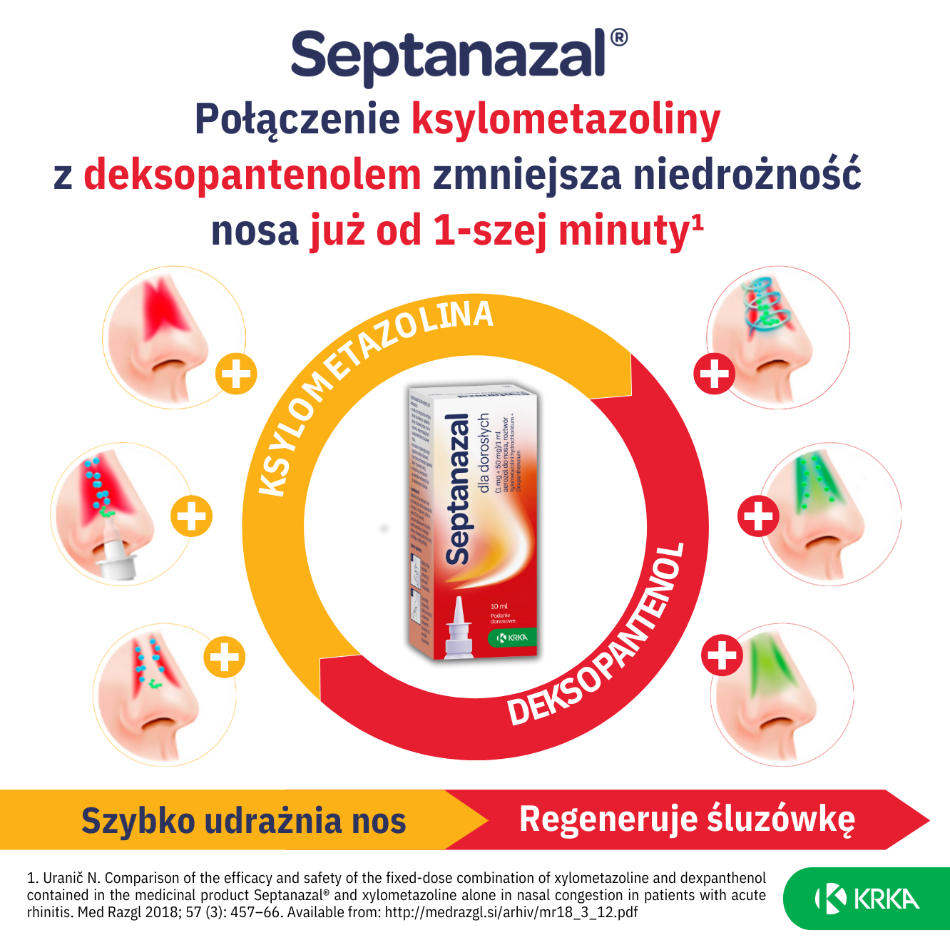 Septanazal Dla dorosłych aerozol do nosa 10ml - 2