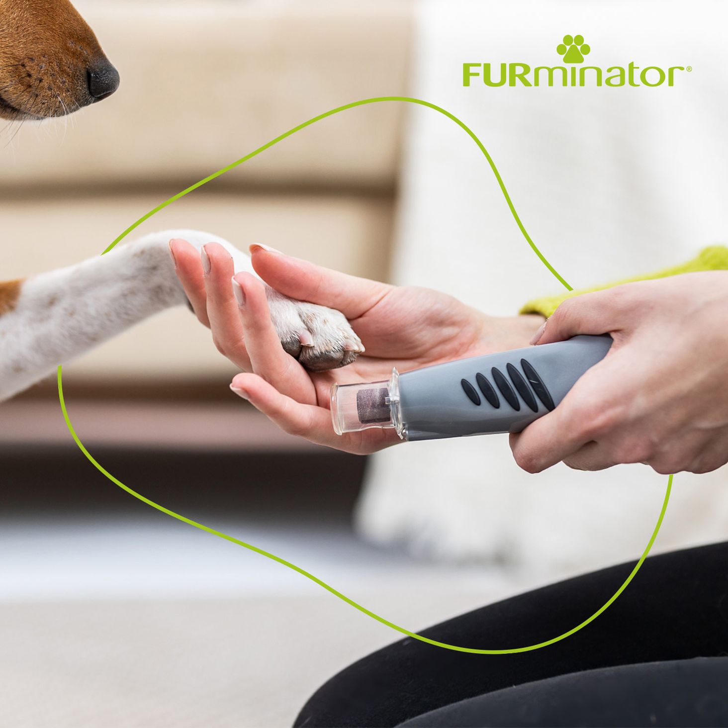 FURmiator zdjęcie 2