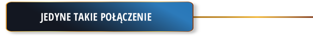 Jedyne takie połączenie