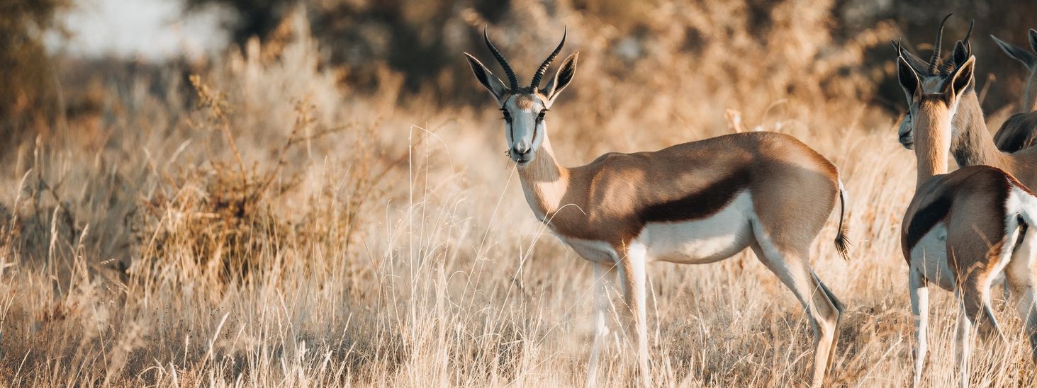Tamron 150-500mm F/5-6.7 Di III VC VXD