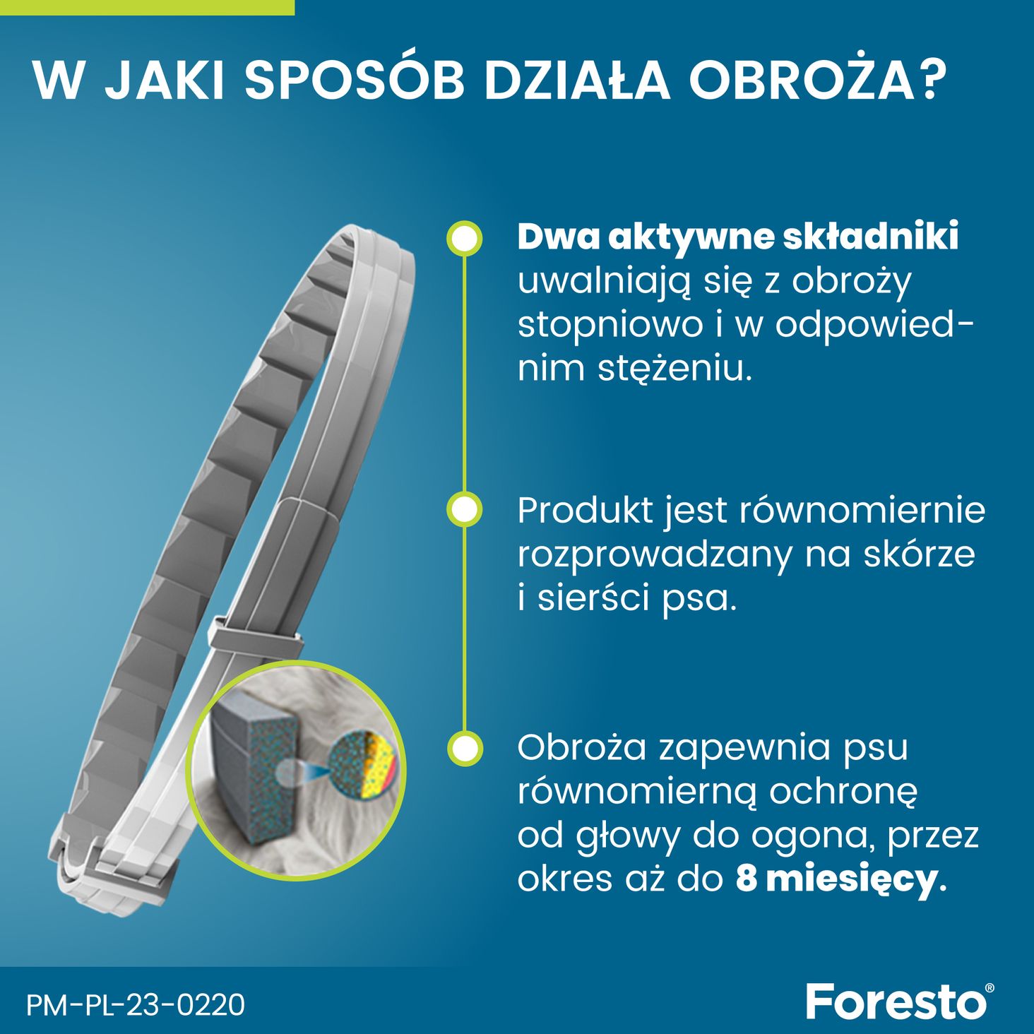 Elanco FORESTO dla dużych psów powyżej 8kg - grafika 2