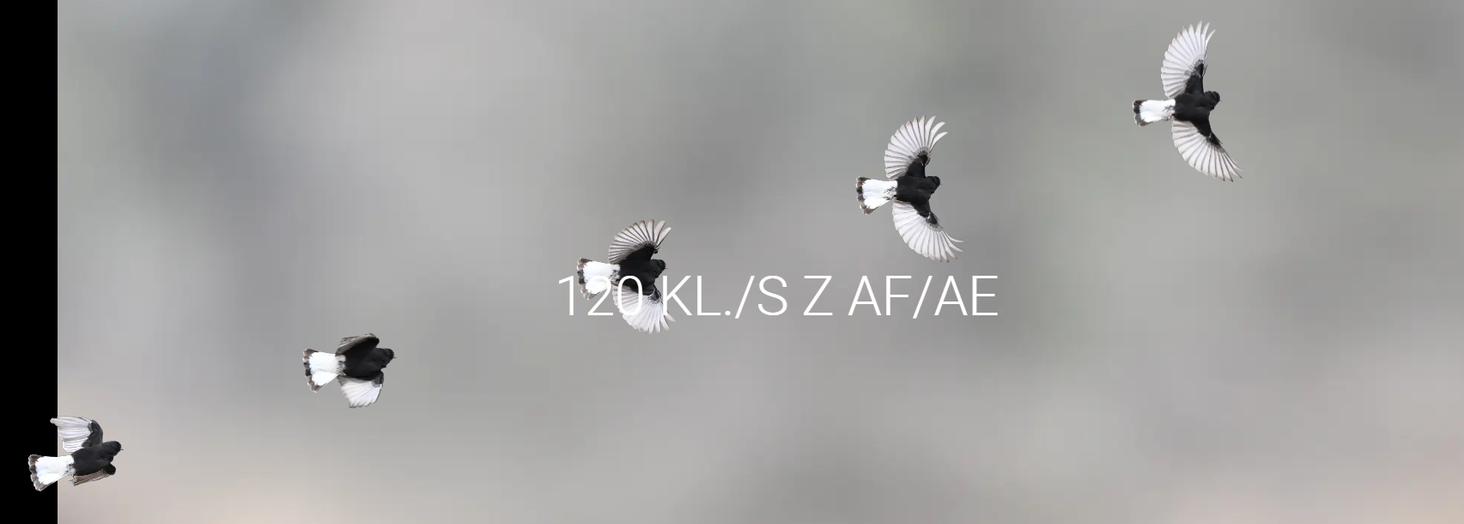 Nikon z6III - 10