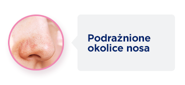 Bayer Zdjęcie 16