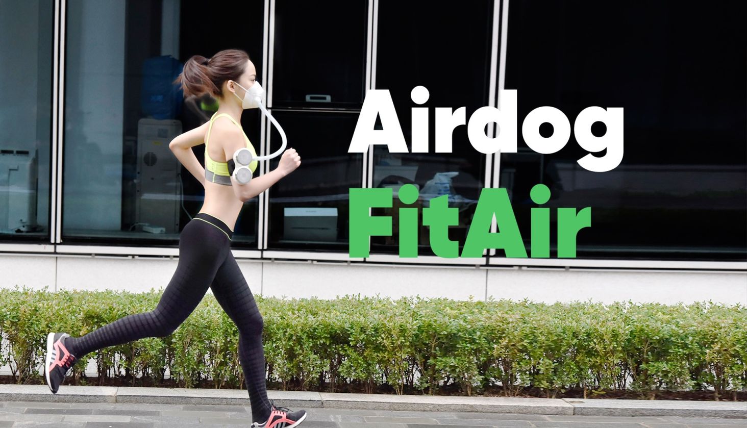 airdog