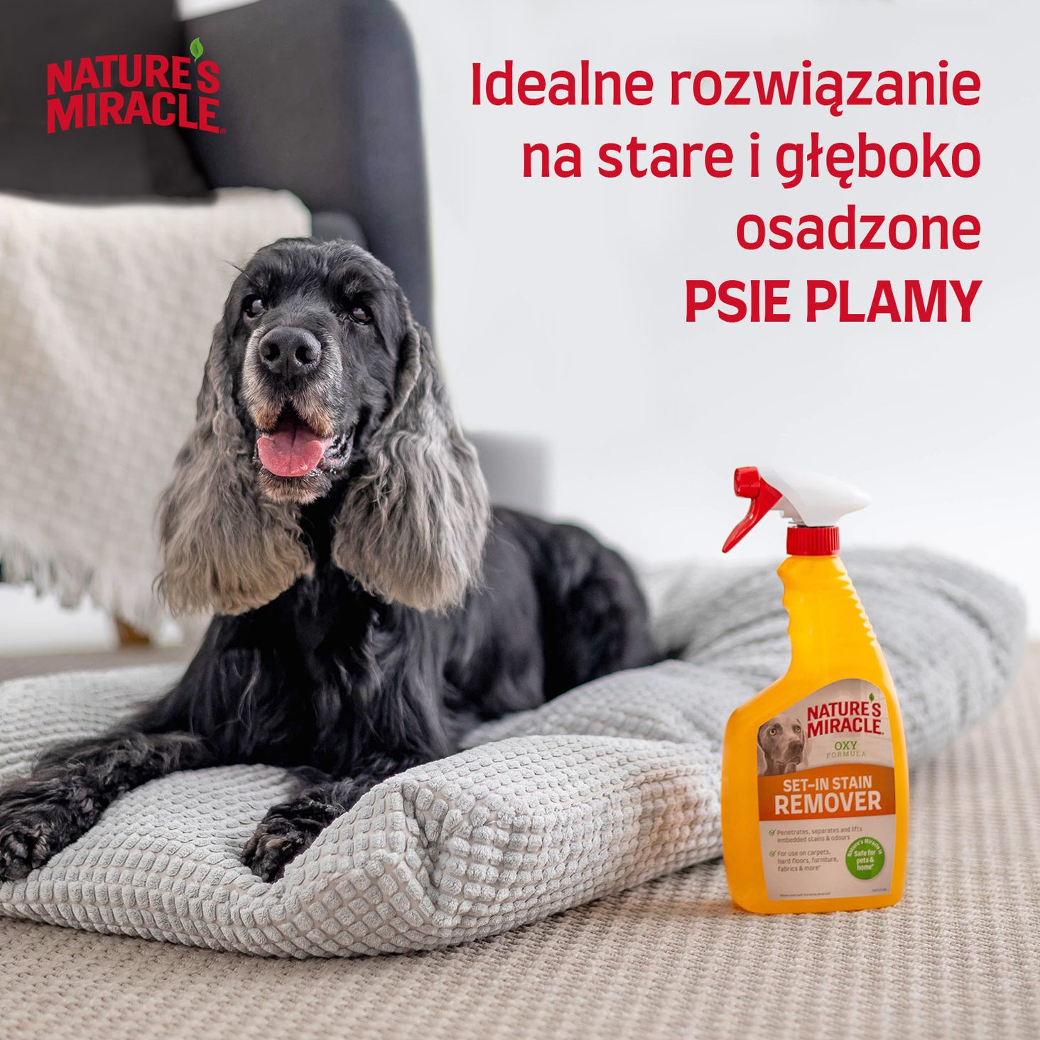 Nature-s-Miracle zdjęcie 5