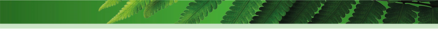 Grafika1