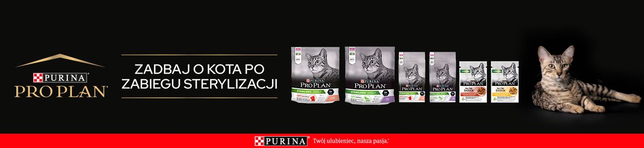 pro plan banner dolny