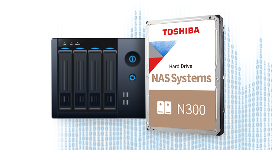 Toshiba Dysk N300 NAS System
