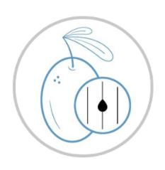 Kemon ACTYVA Nutrizione Ricca Mask