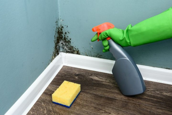 usuwanie grzyba ze ściany