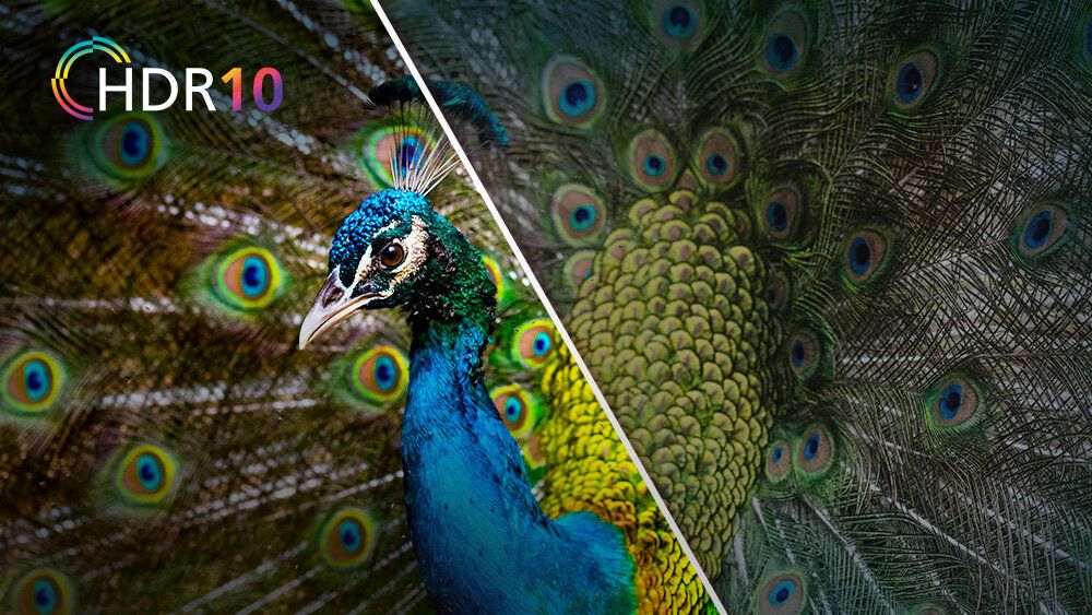 HDR10