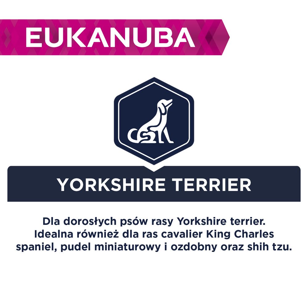 Eukanuba Yorkshire terrier