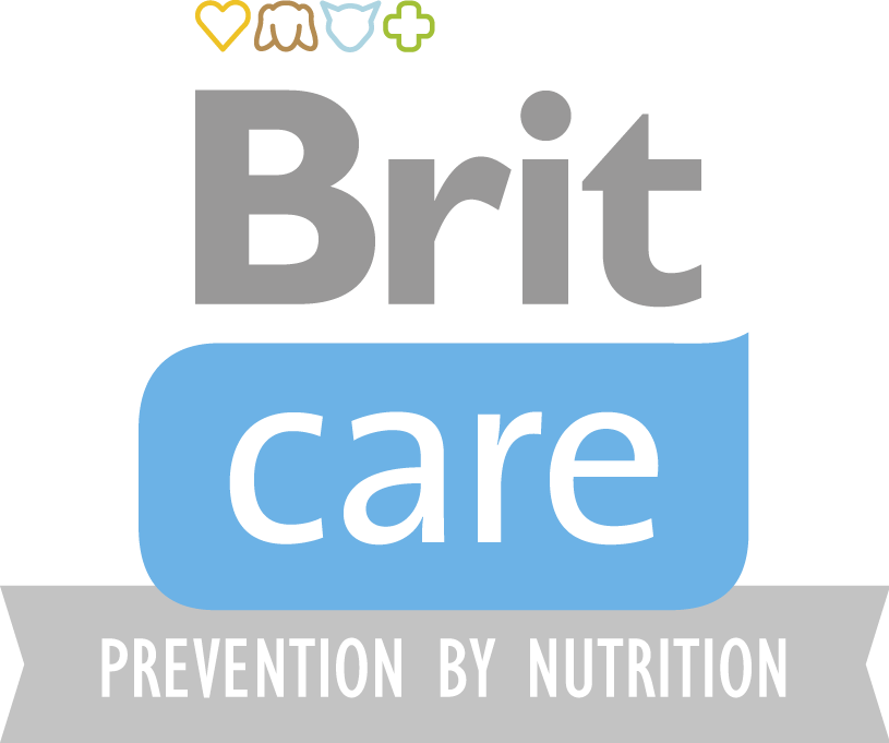 Brit care logo