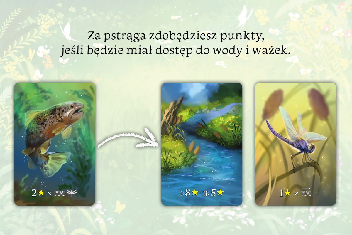Nasza Księgarnia Ekosystem