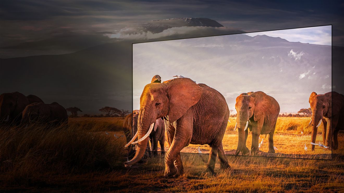 Hisense tv pełne wsparcie hdr