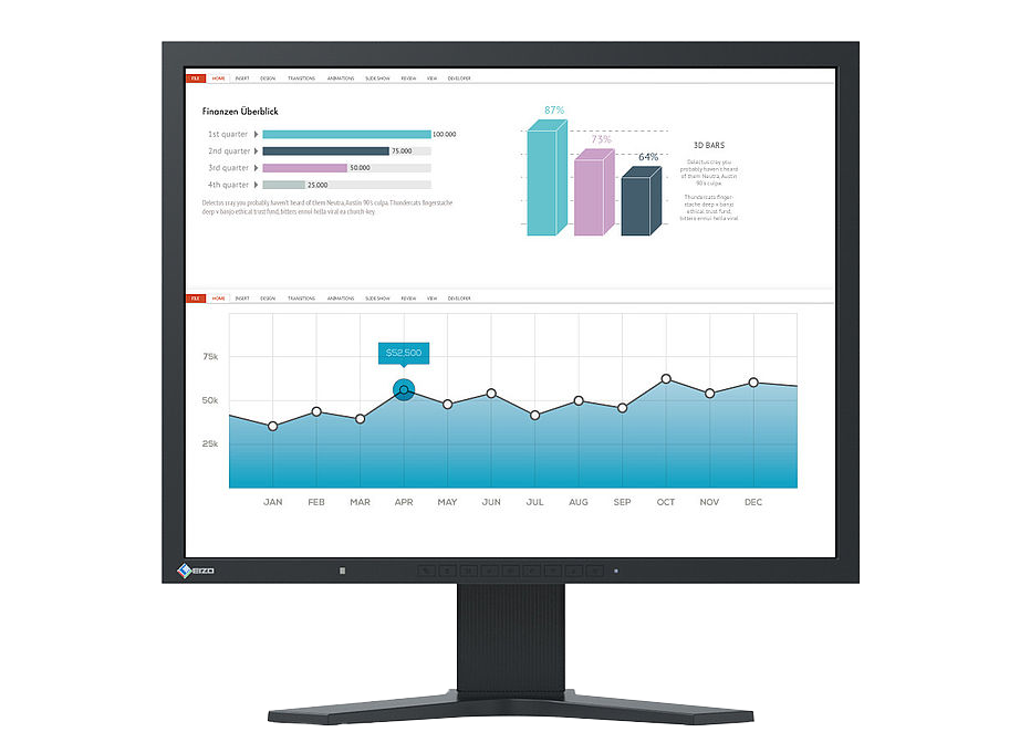 Eizo FlexScan S2133 BK