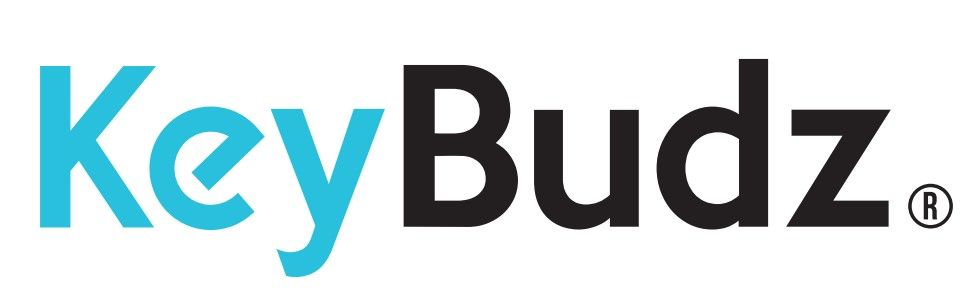 Logo keybudz