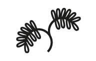 icon1