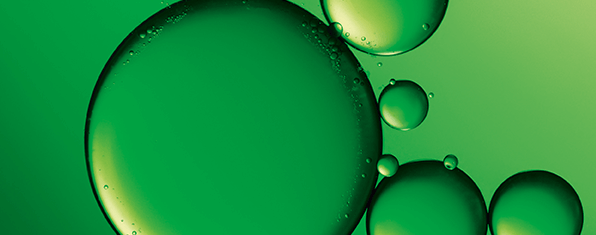 Garnier Fructis