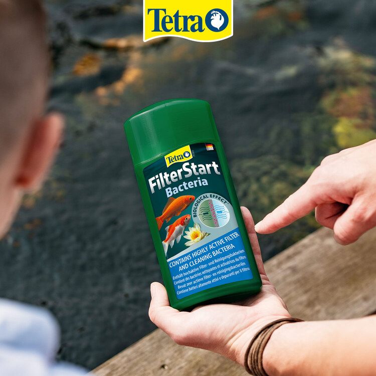 Tetra dawkowanie-3