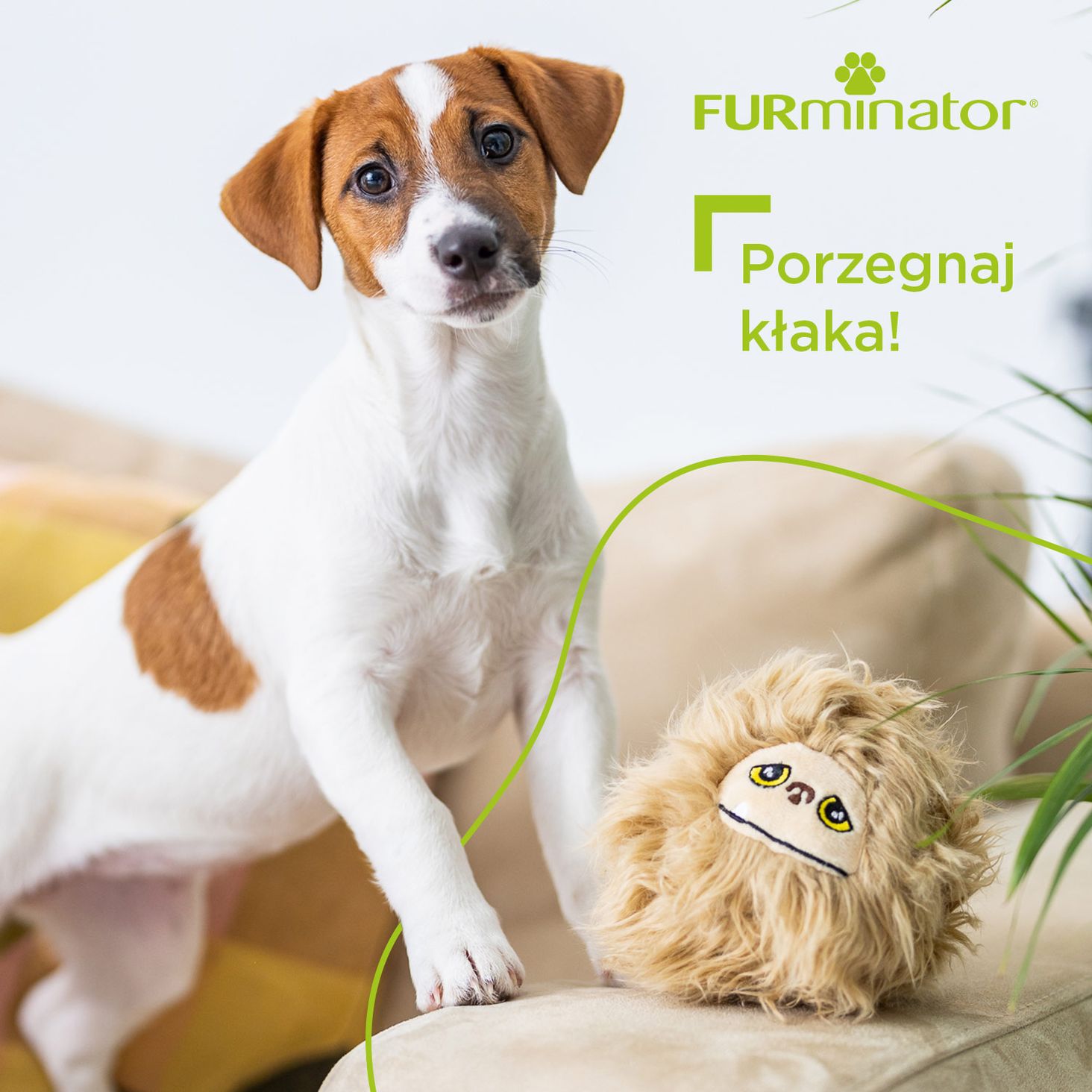 FURminator zdjęcie 6
