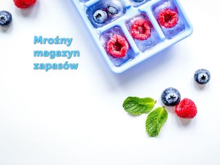 Mroźny magazyn zapasów