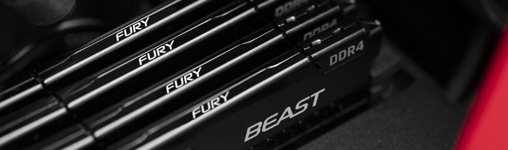 Kingston Fury Beast