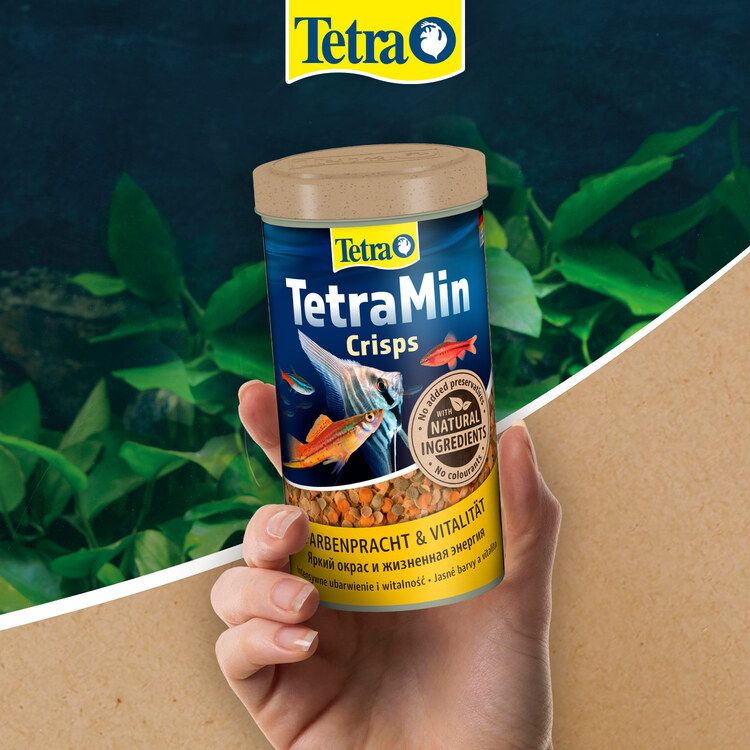 Tetra dawkowanie - 3