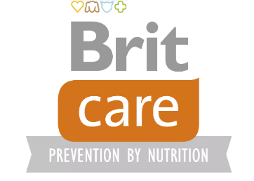 Brit care logo