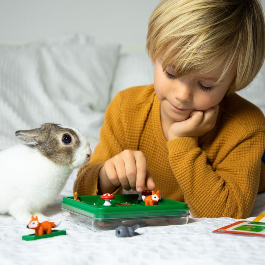 smart games
