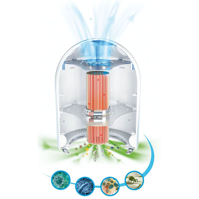 airfree tulip