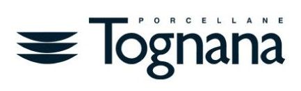 Tognana logo