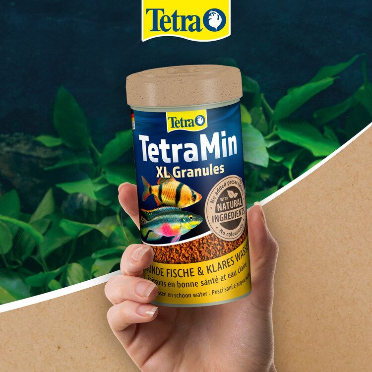 Tetra dawkowanie - 3