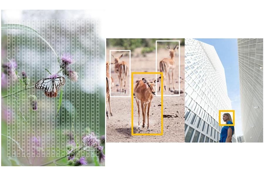 Aparat Panasonic Lumix S5II z hybrydowym układem AF