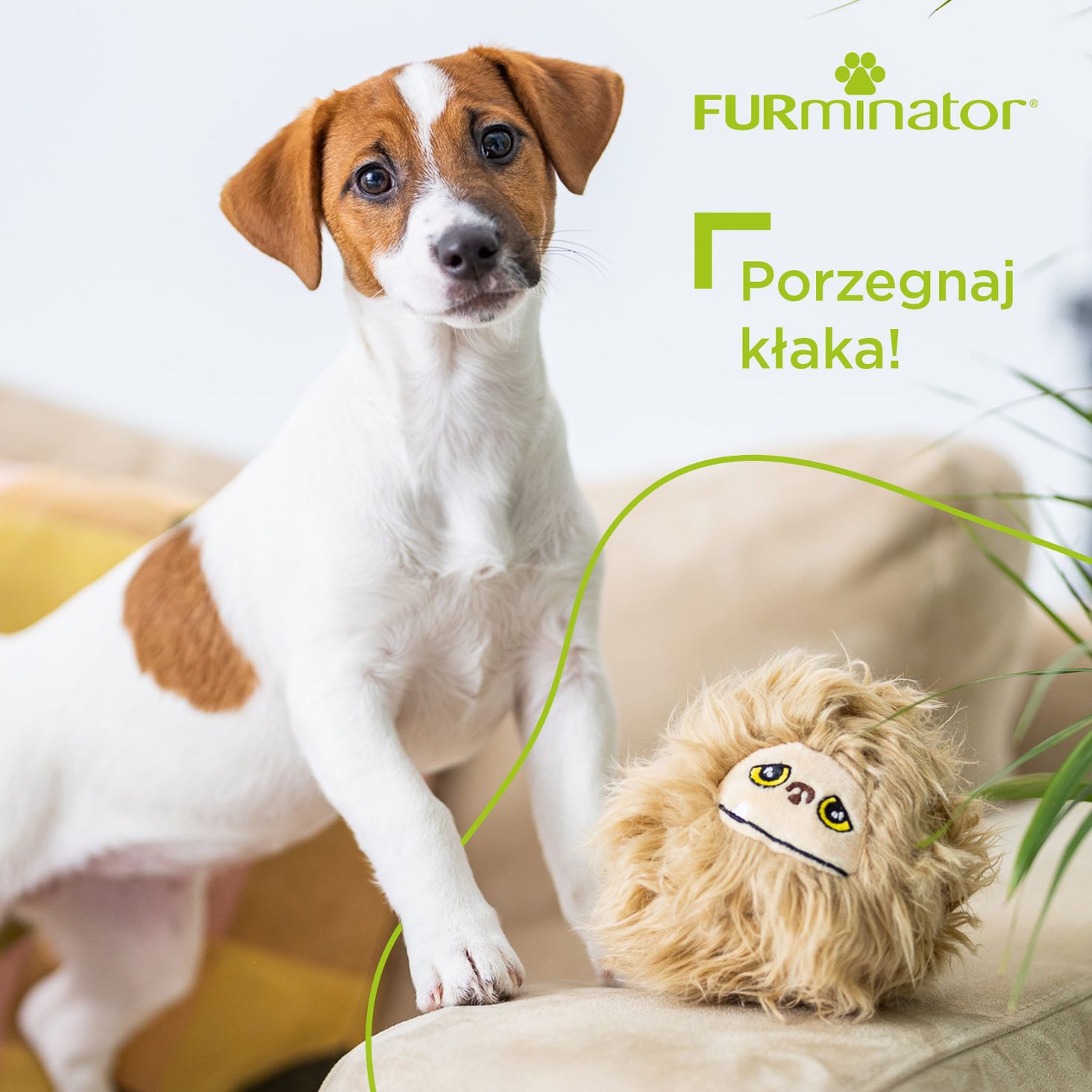 FURminator zdjęcie 6