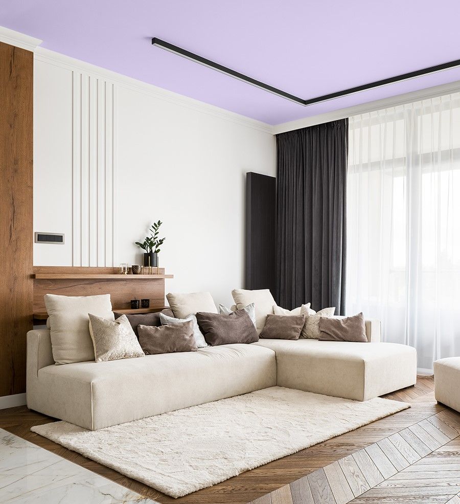 Śnieżka 165 Płatki Hortensji salon 2