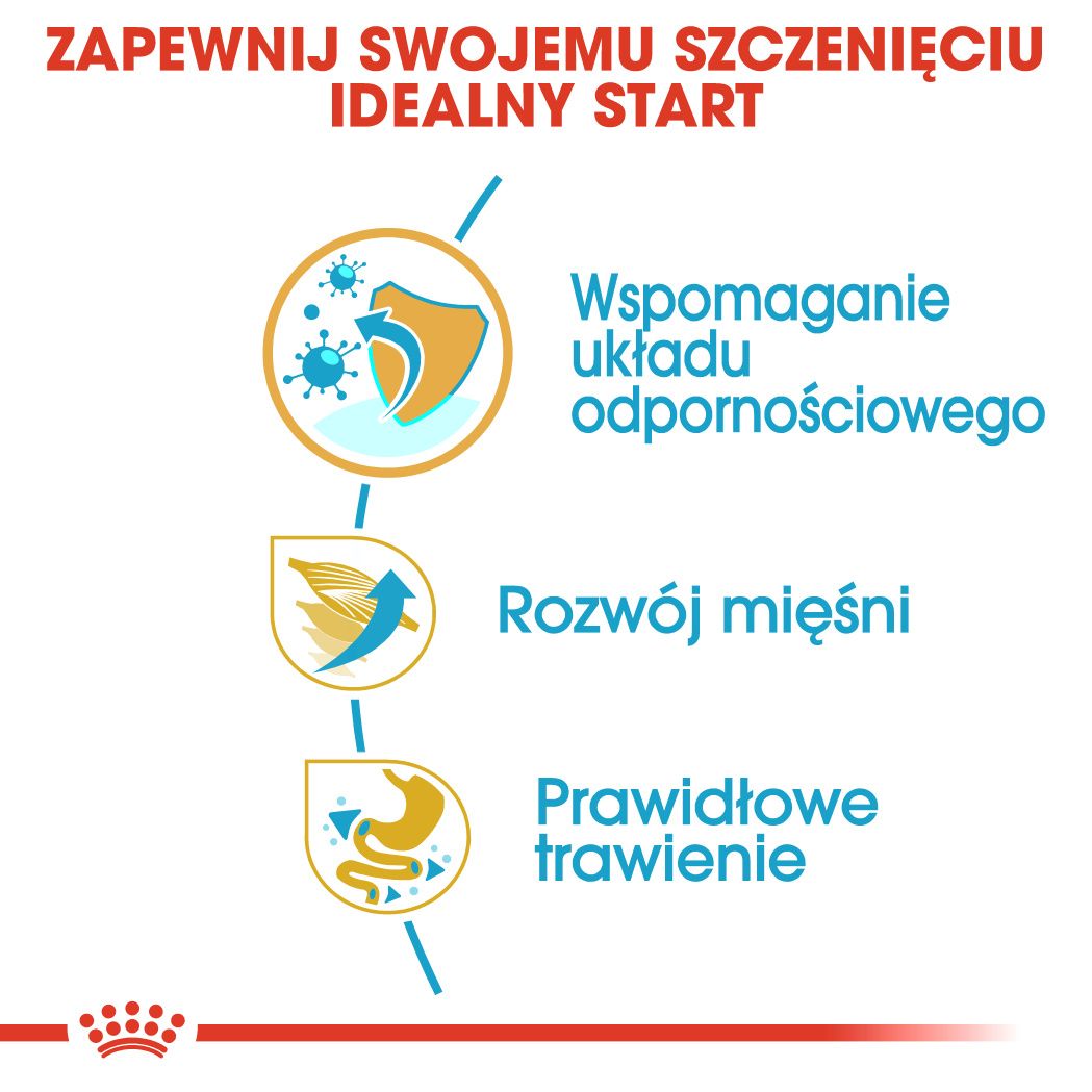 Royal Canin Boxer Puppy-1