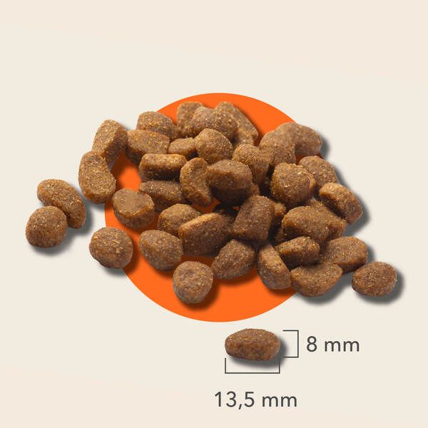 IAMS Sugestie dotyczące karmienia