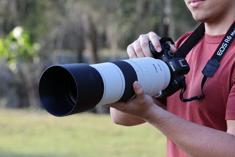 Canon RF 200-800 mm f/6.3-9 IS USM lifestyle