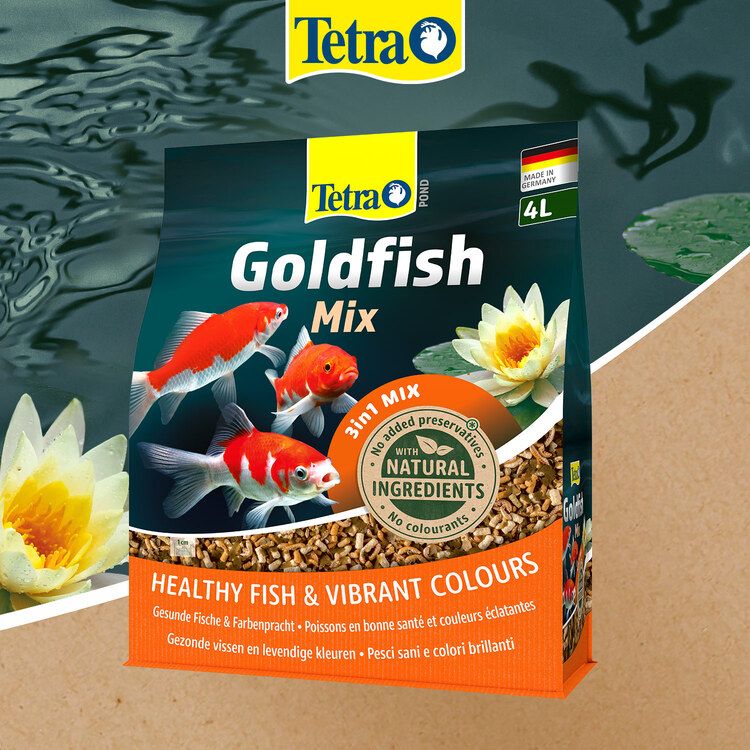 Tetra Charakterystyka karmy - 1