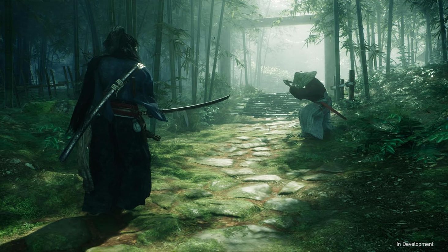 Rise of the Ronin.