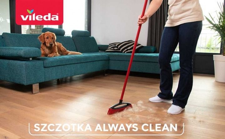 Vileda Grafika główna 2