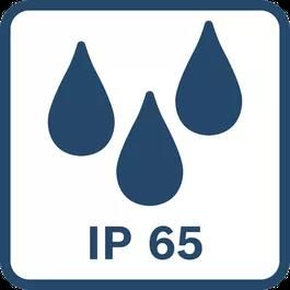 IP 65