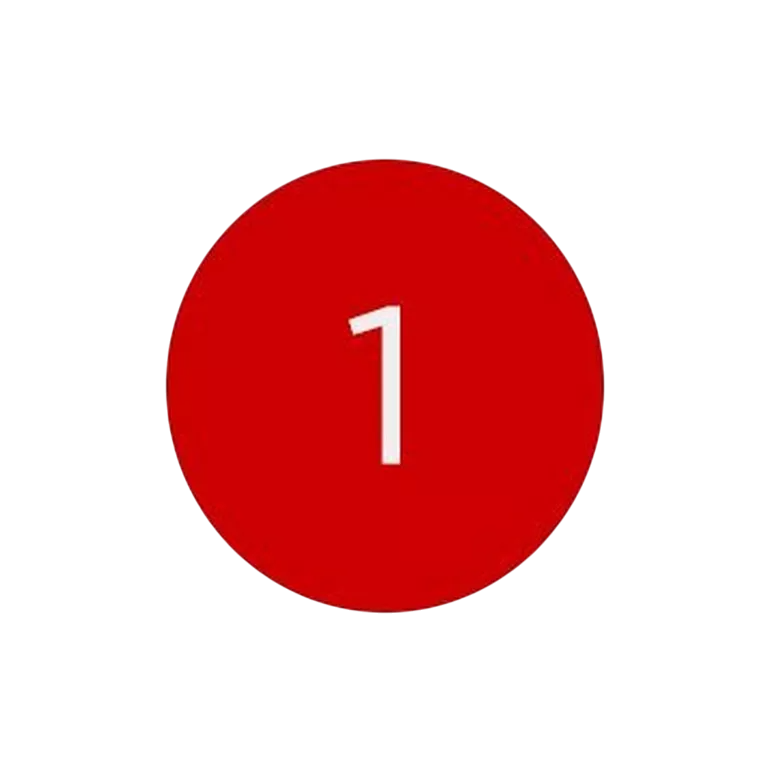 icon 1