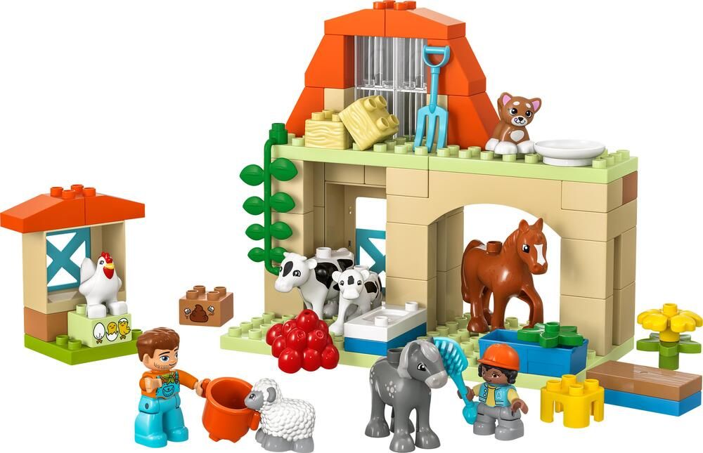 LEGO DUPLO 10416 - 2