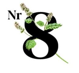 Ikona numer 8