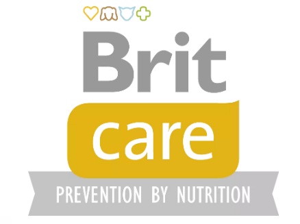 Brit care logo