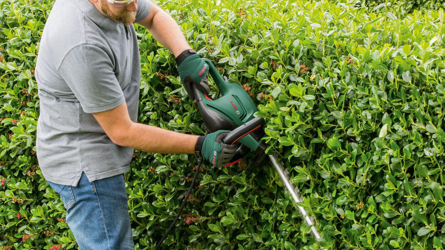 Bosch UniversalHedgeCut 60 - 3